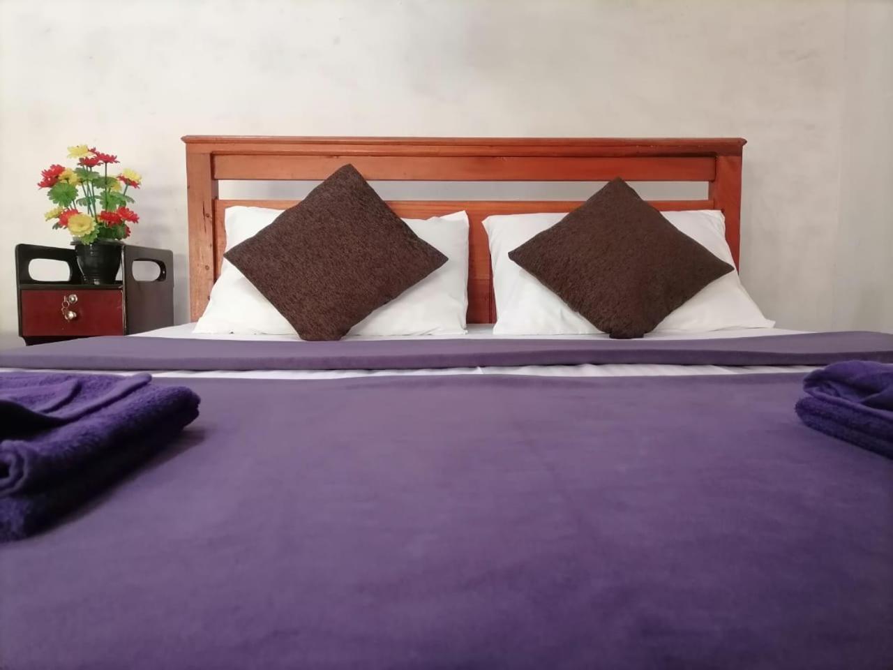 Opal Cottage אלה מראה חיצוני תמונה