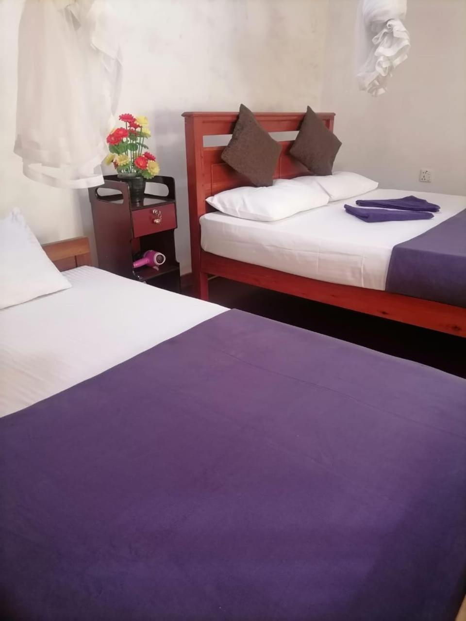 Opal Cottage אלה מראה חיצוני תמונה