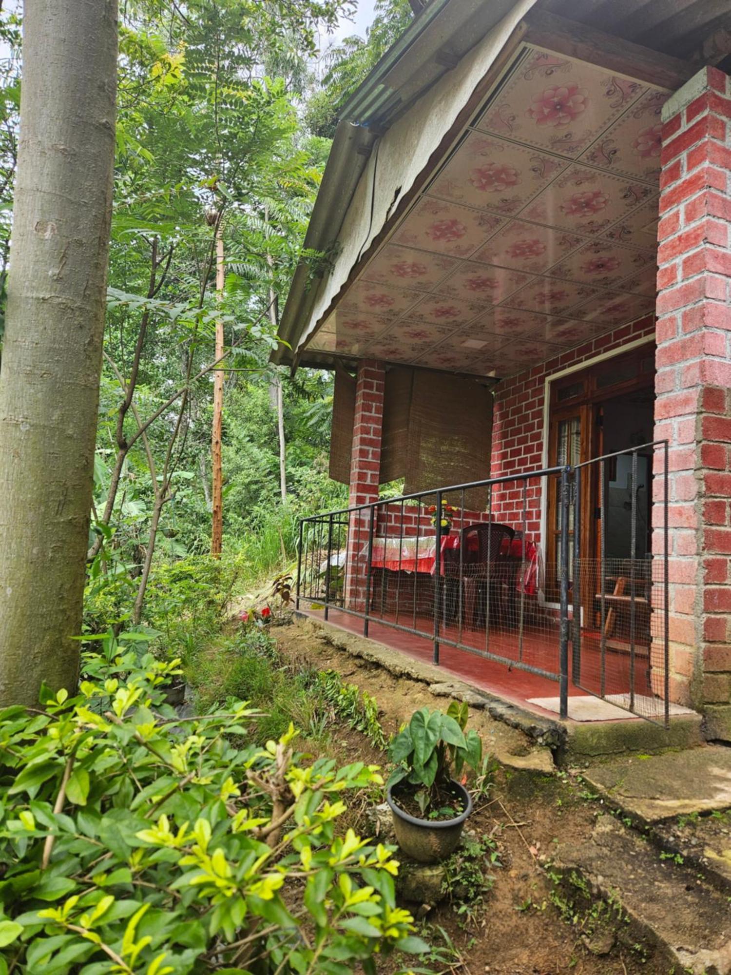 Opal Cottage אלה מראה חיצוני תמונה