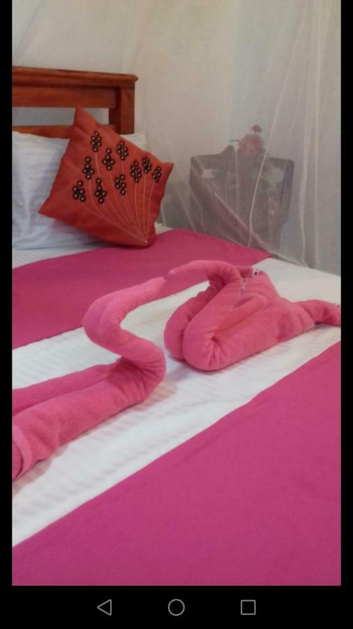 Opal Cottage אלה מראה חיצוני תמונה
